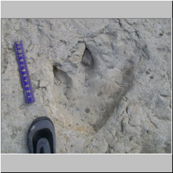 100_0433 (2009-26-07)cr.jpg